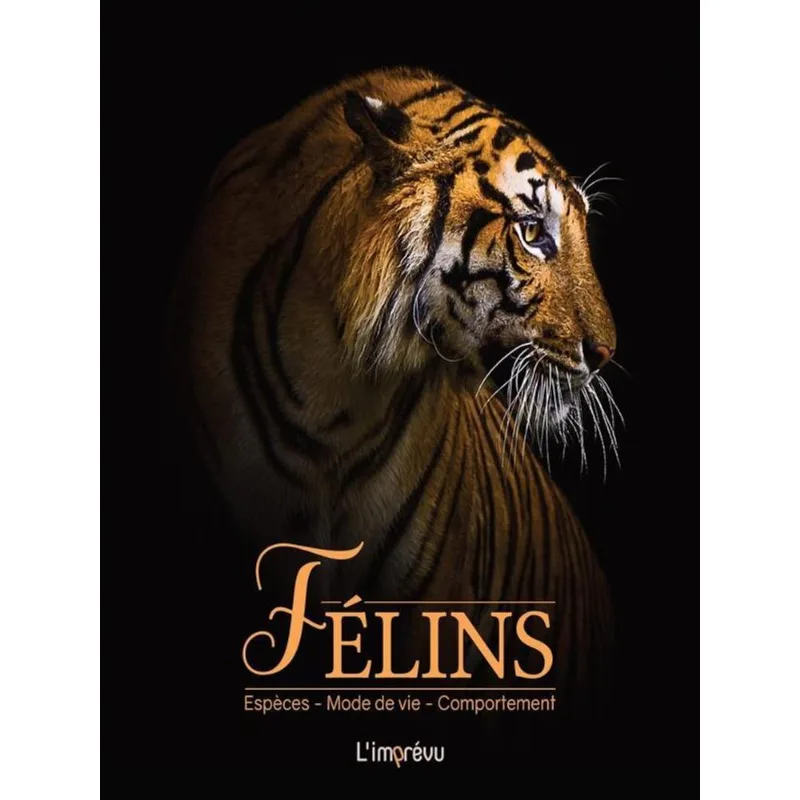 FÉLINS