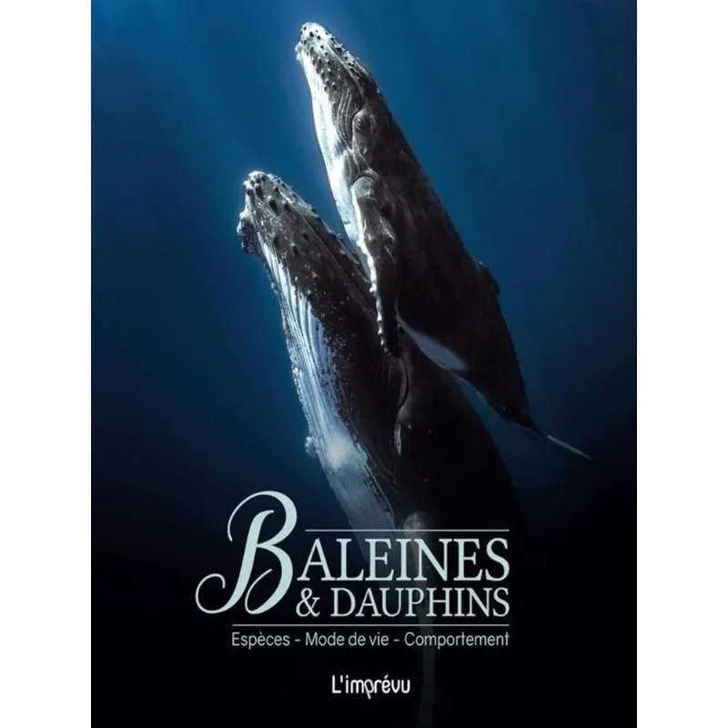 BALEINES & DAUPHINS