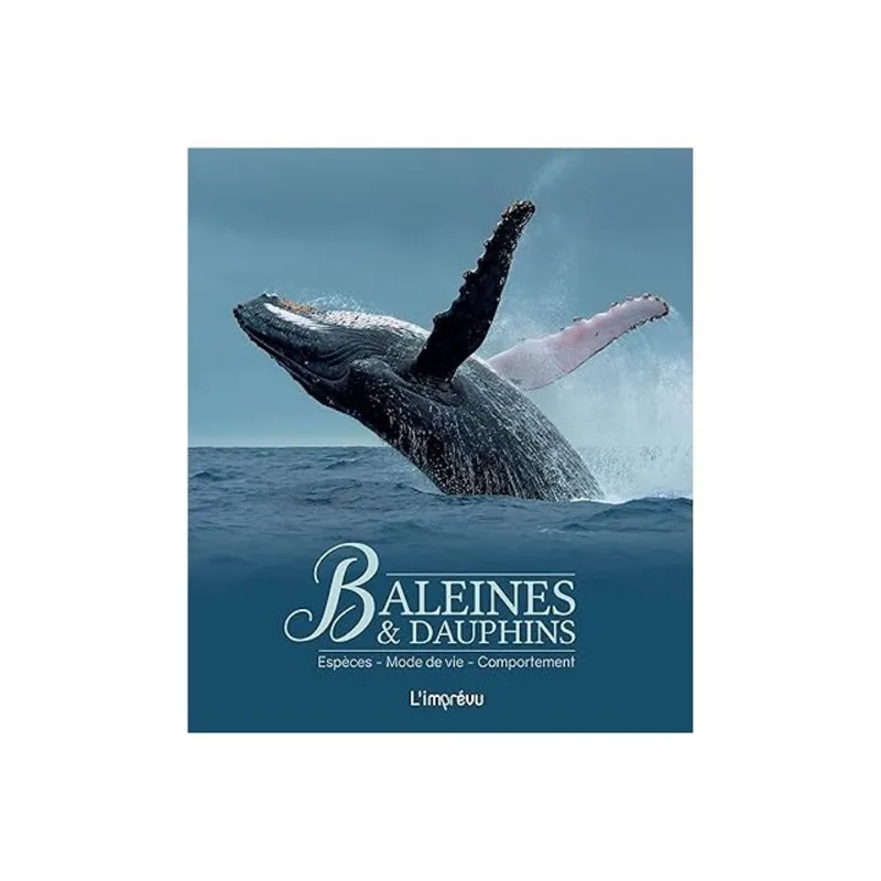 BALEINES ET DAUPHINS - ESPÈCES, MODE DE VIE, COMPORTEMENT